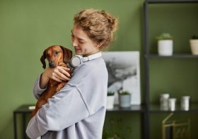 How Do Animal Hospitals Treat Chronic Pet Conditions?